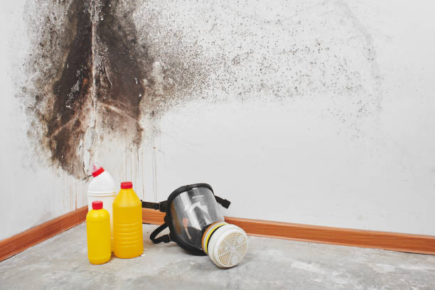 Best Professional Mold Removal  in Malvern, PA