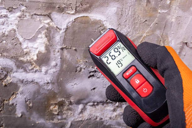 Best Office Mold Removal Services  in Malvern, PA